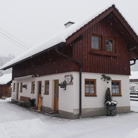 Apartment Natur Herz Haus im Ennstal Εξωτερικό φωτογραφία