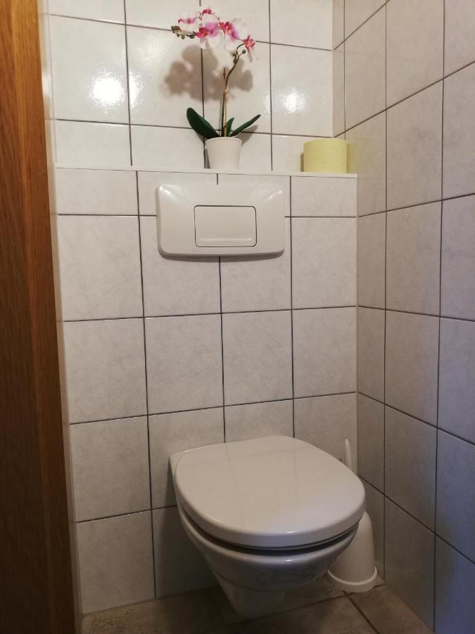 Apartment Natur Herz Haus im Ennstal Εξωτερικό φωτογραφία