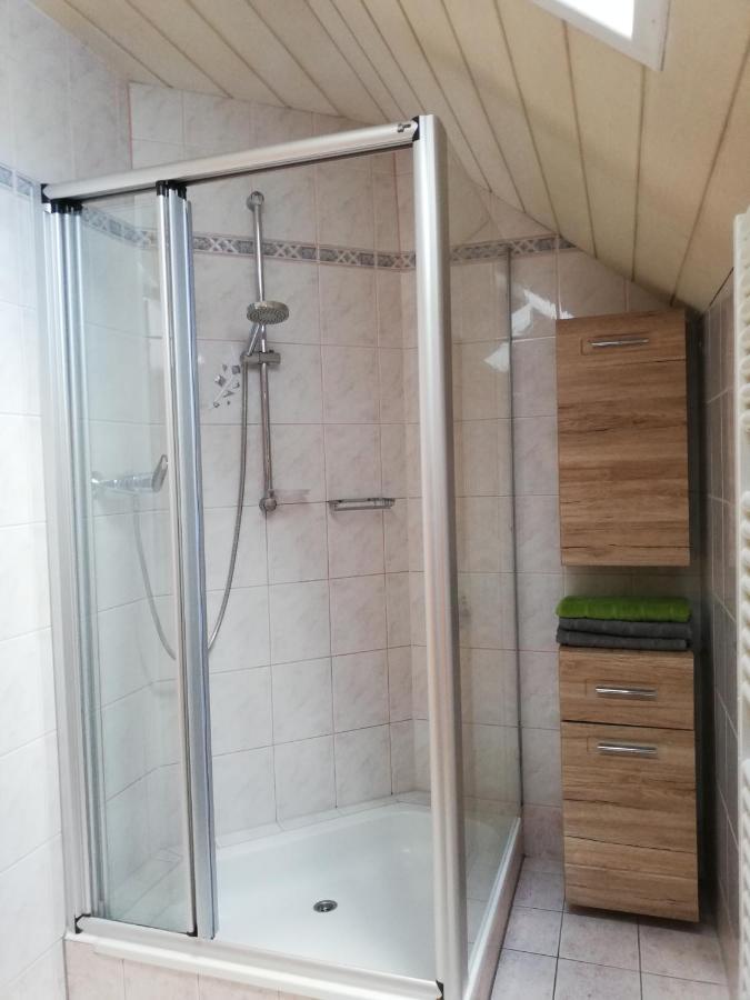 Apartment Natur Herz Haus im Ennstal Εξωτερικό φωτογραφία