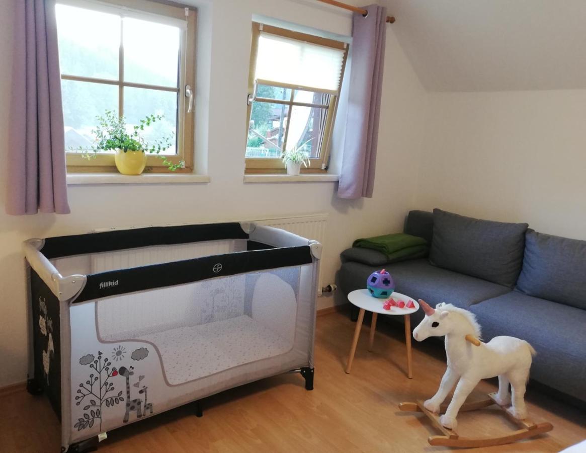 Apartment Natur Herz Haus im Ennstal Εξωτερικό φωτογραφία